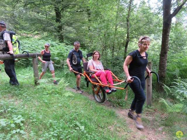 Randonnée joëlettes à Marbehan