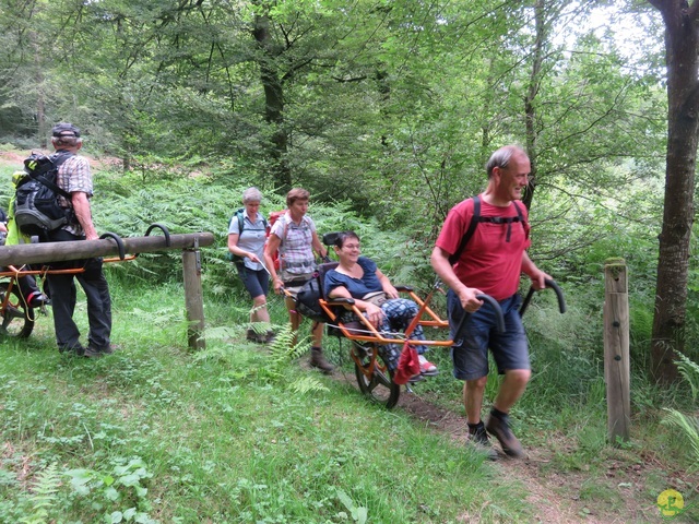 Randonnée joëlettes à Marbehan