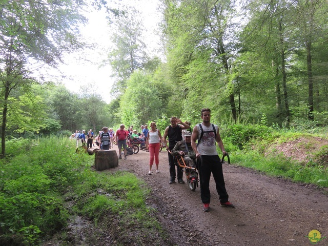 Randonnée joëlettes à Marbehan