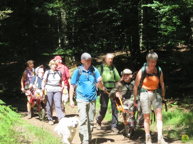 Randonnée joëlettes à La Gileppe