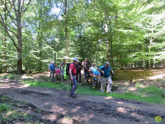 Randonnée joëlettes à La Gileppe