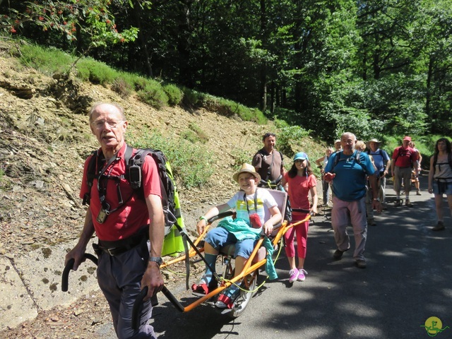 Randonnée joëlettes à La Gileppe