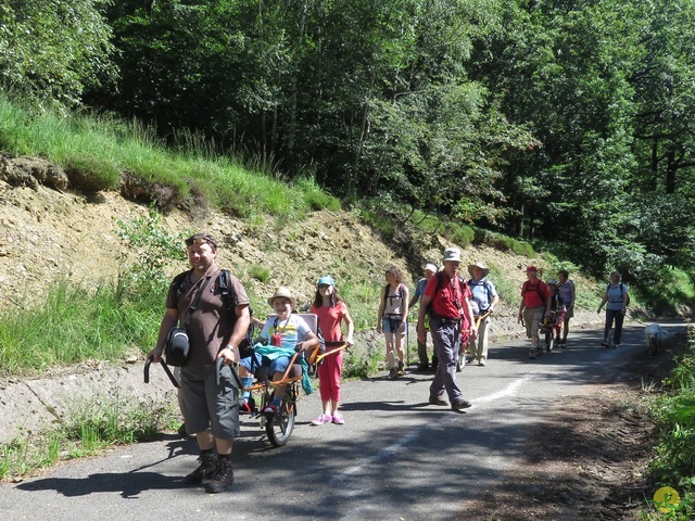 Randonnée joëlettes à La Gileppe