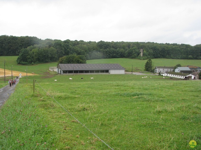 Randonnée joëlettes à Boninne