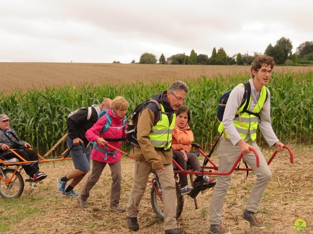 Randonnée joëlettes à Boninne