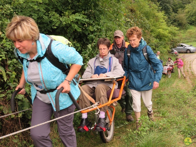 Randonnée joëlettes à Boninne