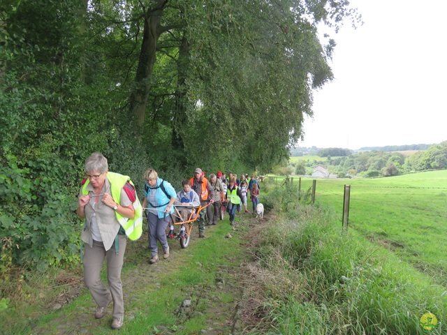 Randonnée joëlettes à Boninne