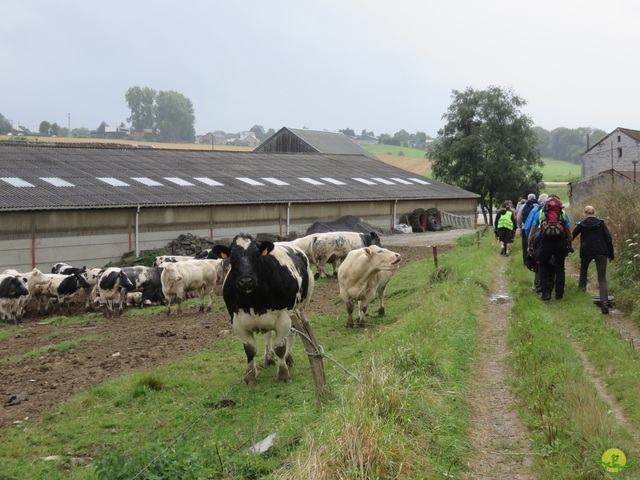 Randonnée joëlettes à Boninne