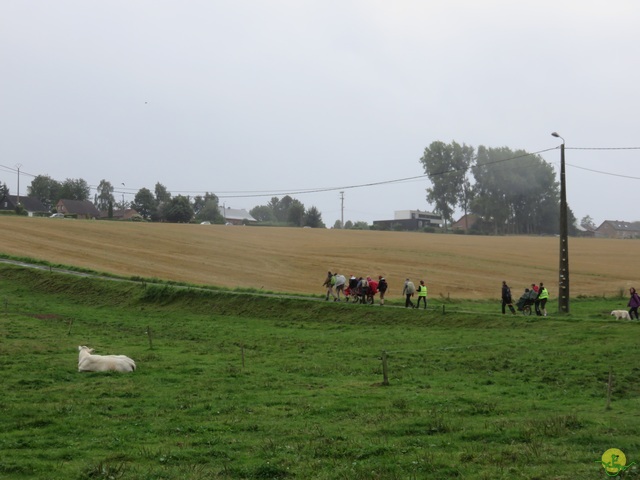 Randonnée joëlettes à Boninne