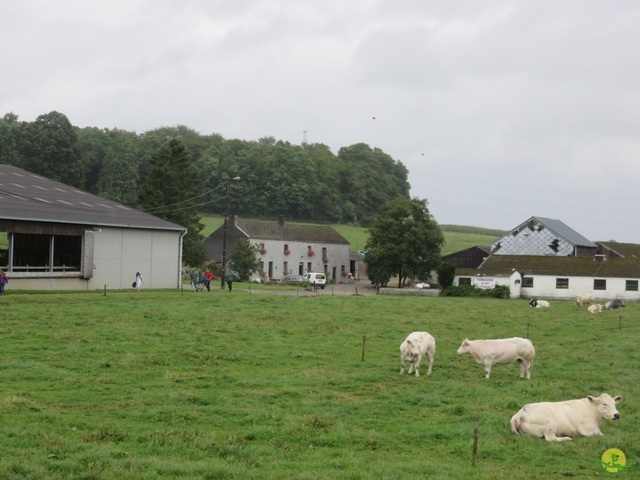 Randonnée joëlettes à Boninne