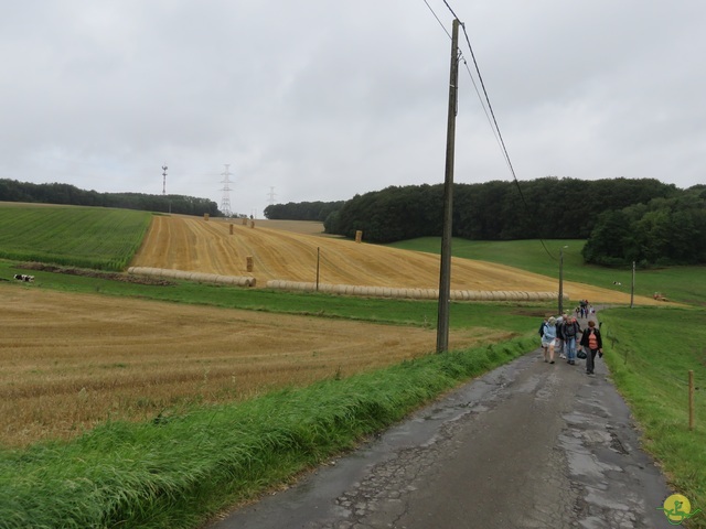 Randonnée joëlettes à Boninne