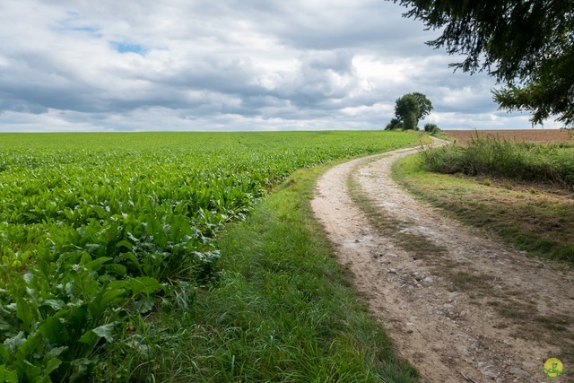 Randonnée joëlettes à Anseremme