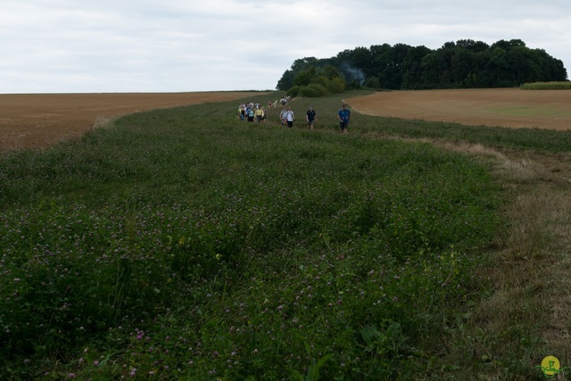 Randonnée joëlettes à Anseremme