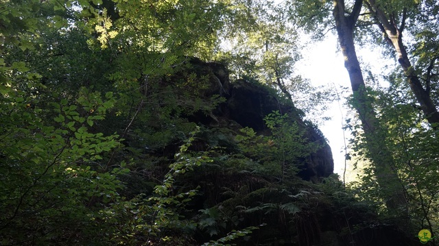 Randonnée joëlettes à Berdorf