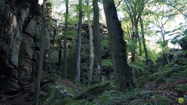 Randonnée joëlettes à Berdorf