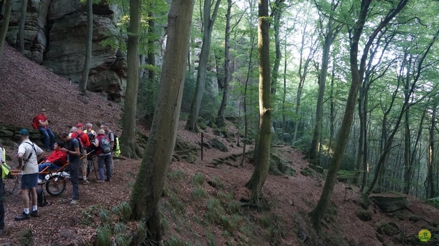 Randonnée joëlettes à Berdorf