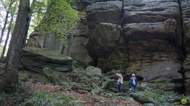 Randonnée joëlettes à Berdorf