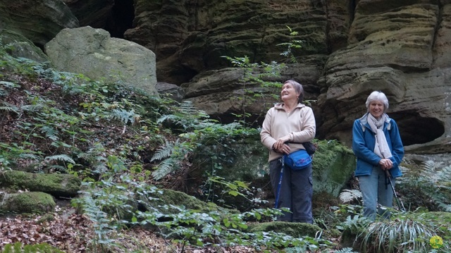 Randonnée joëlettes à Berdorf