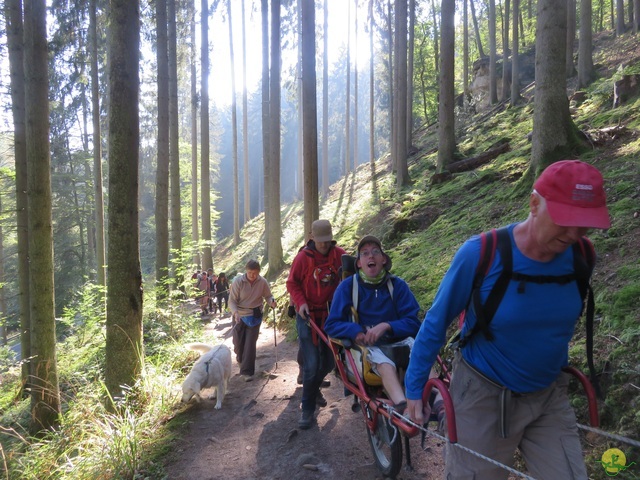 Randonnée joëlettes à Berdorf