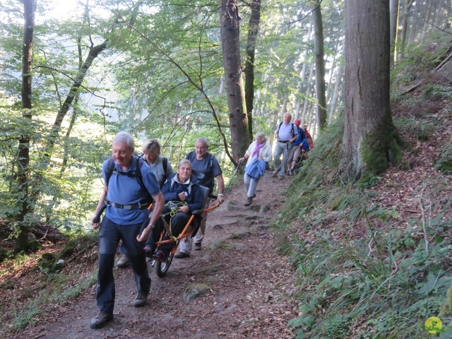 Randonnée joëlettes à Berdorf