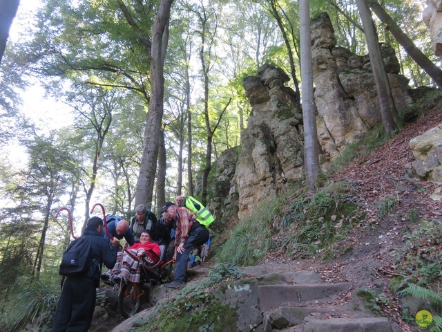 Randonnée joëlettes à Berdorf