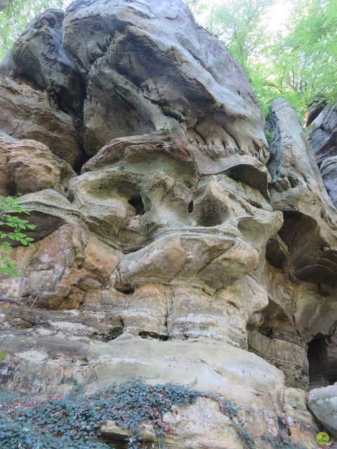 Randonnée joëlettes à Berdorf