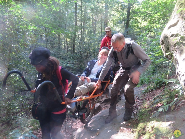 Randonnée joëlettes à Berdorf