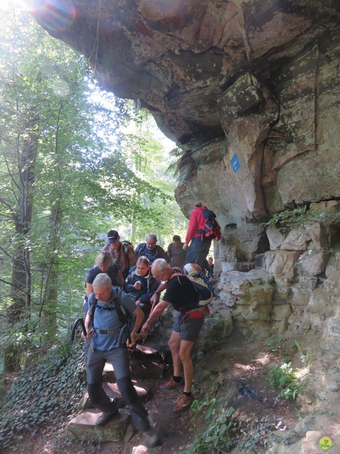 Randonnée joëlettes à Berdorf