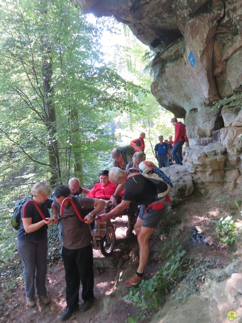 Randonnée joëlettes à Berdorf