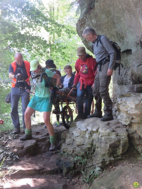 Randonnée joëlettes à Berdorf