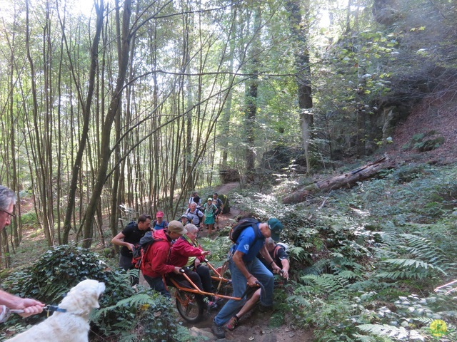 Randonnée joëlettes à Berdorf