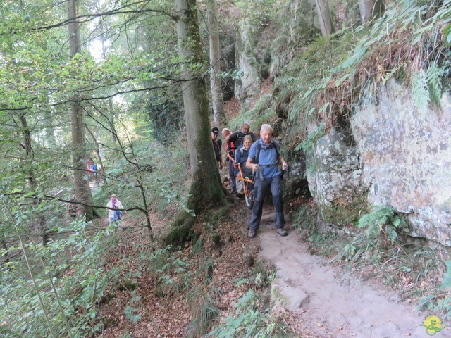 Randonnée joëlettes à Berdorf