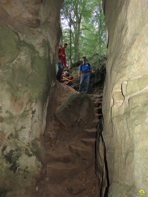 Randonnée joëlettes à Berdorf