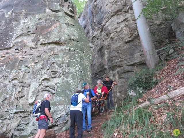 Randonnée joëlettes à Berdorf