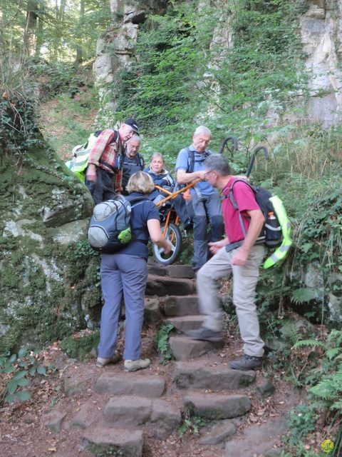 Randonnée joëlettes à Berdorf