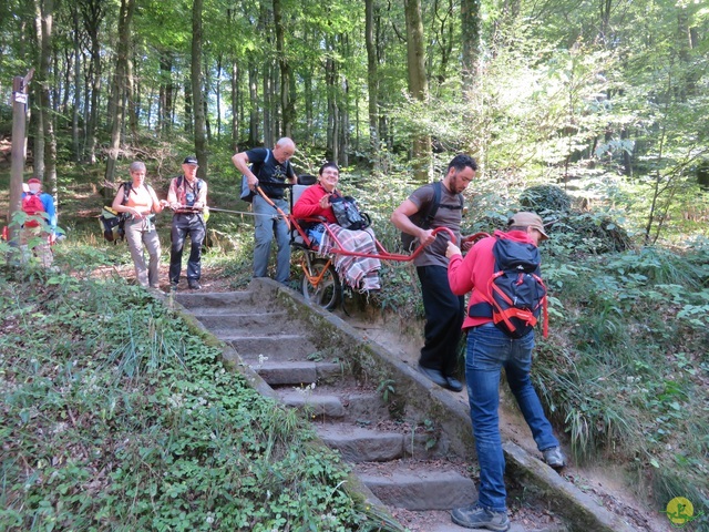 Randonnée joëlettes à Berdorf