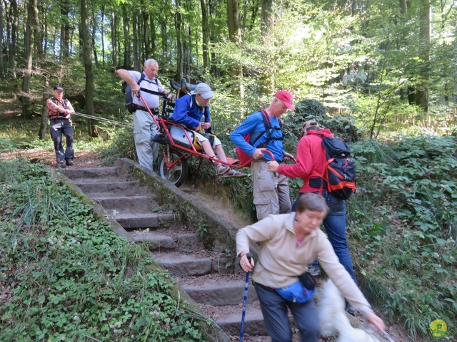 Randonnée joëlettes à Berdorf