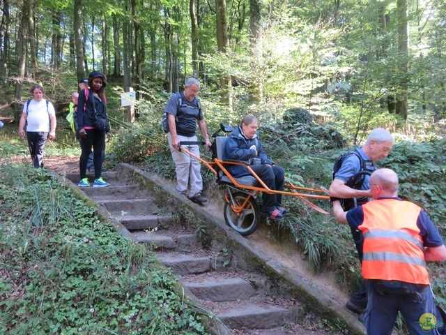 Randonnée joëlettes à Berdorf