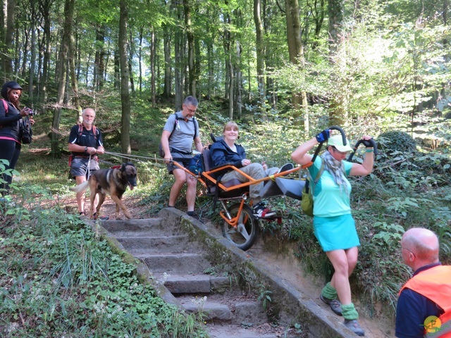 Randonnée joëlettes à Berdorf