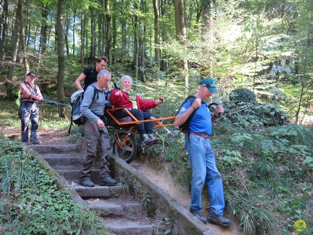 Randonnée joëlettes à Berdorf