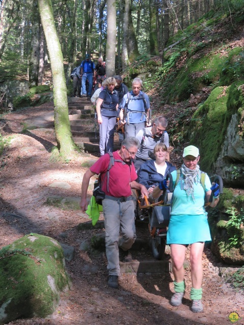 Randonnée joëlettes à Berdorf