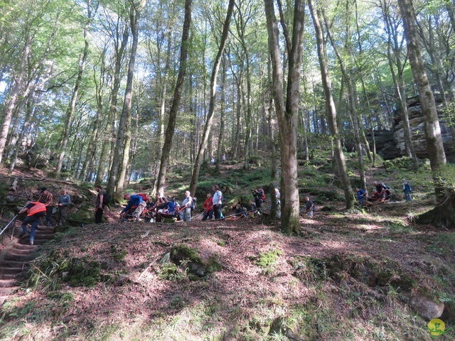 Randonnée joëlettes à Berdorf