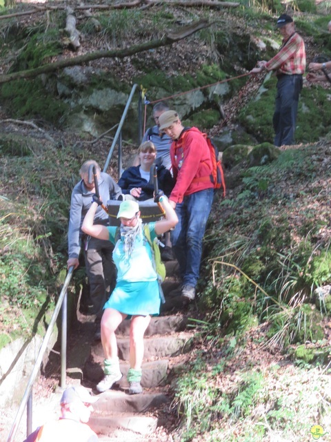 Randonnée joëlettes à Berdorf