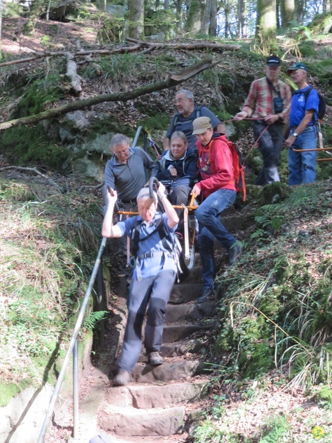 Randonnée joëlettes à Berdorf