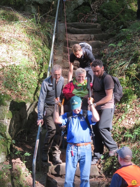 Randonnée joëlettes à Berdorf