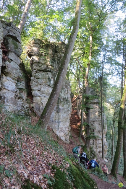 Randonnée joëlettes à Berdorf