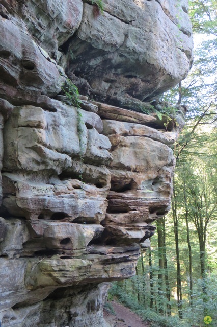 Randonnée joëlettes à Berdorf