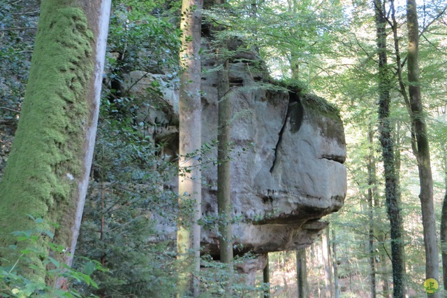 Randonnée joëlettes à Berdorf