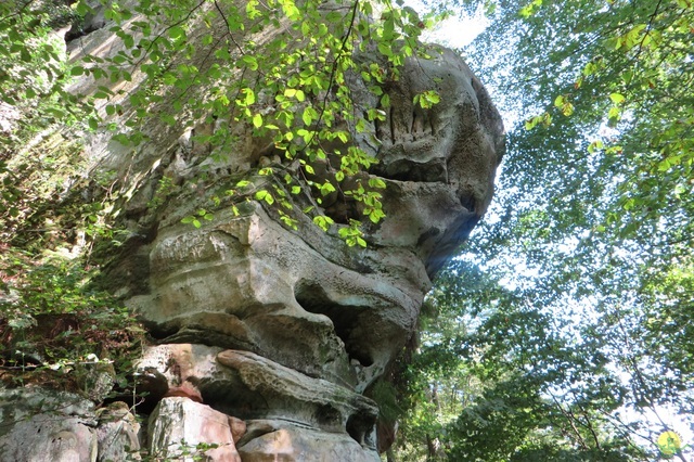 Randonnée joëlettes à Berdorf