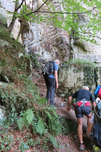 Randonnée joëlettes à Berdorf